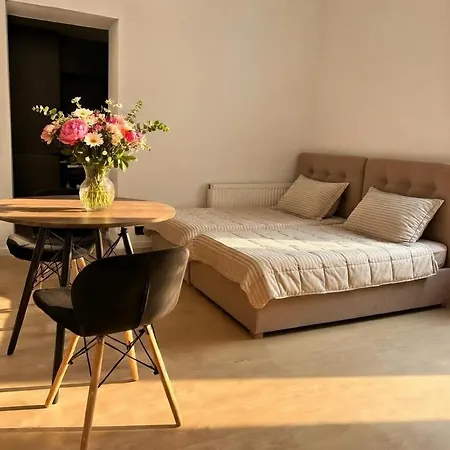 Kochanowskiego Appartamento Katowice